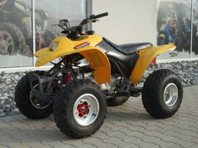 Honda TRX 250