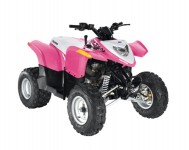 Polaris Phoenix 200