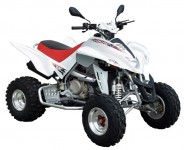 Masai Demon 460